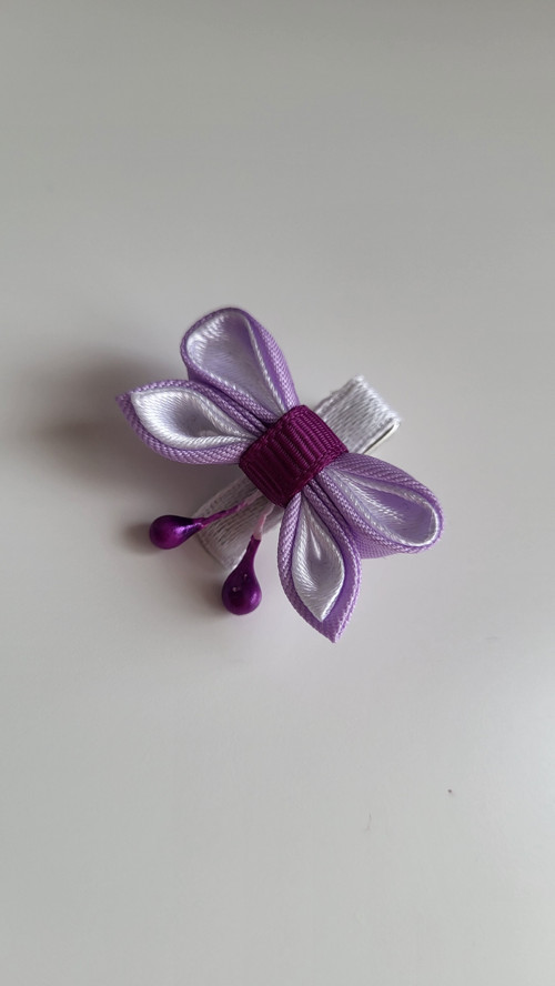 Sponka Motýlek — foto 2