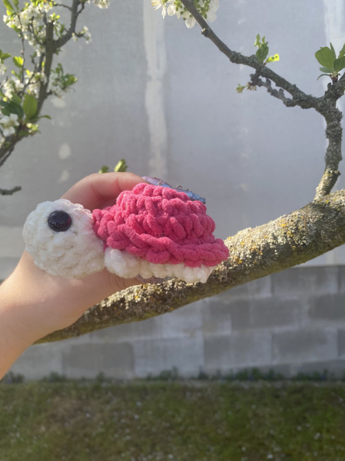 Háčkovaná želvička — foto 2