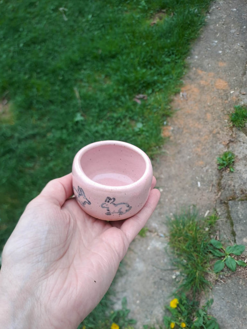 Minikalíšek králičí rande — foto 4