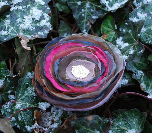Brož No. 279 — foto 3