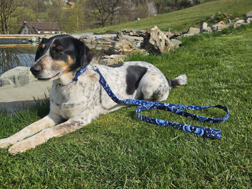 Vodítko pro pejska 150cm — foto 2