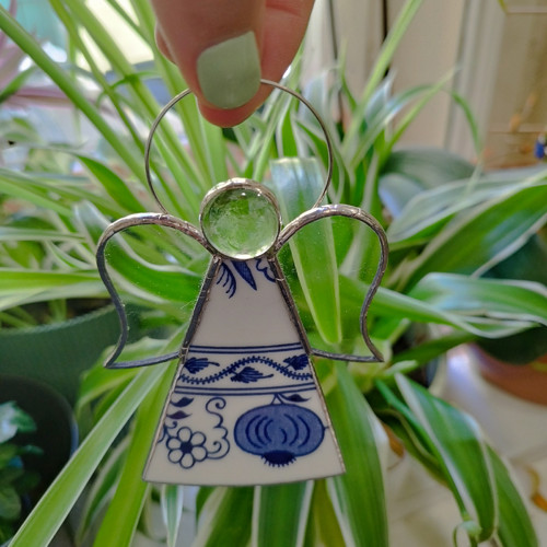 Anděl talířák cibulák — foto 3