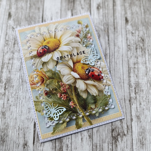 Blahopřání série kopretiny 4. — foto 2