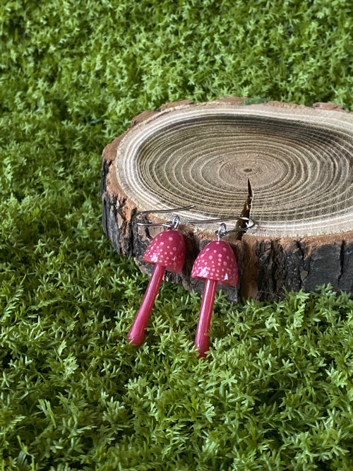 Mushrooms — foto 4