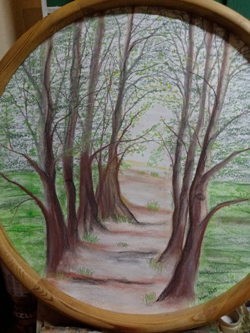 Alej, průměr 58cm. — foto 3