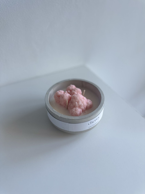 Sójová svíčka - teddy — foto 3