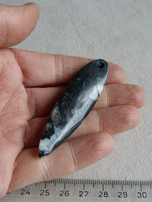 Orthoceras vrtaný - 6,5 cm — foto 6