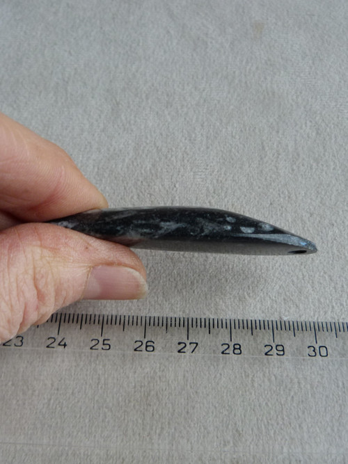 Orthoceras vrtaný - 6,5 cm — foto 5