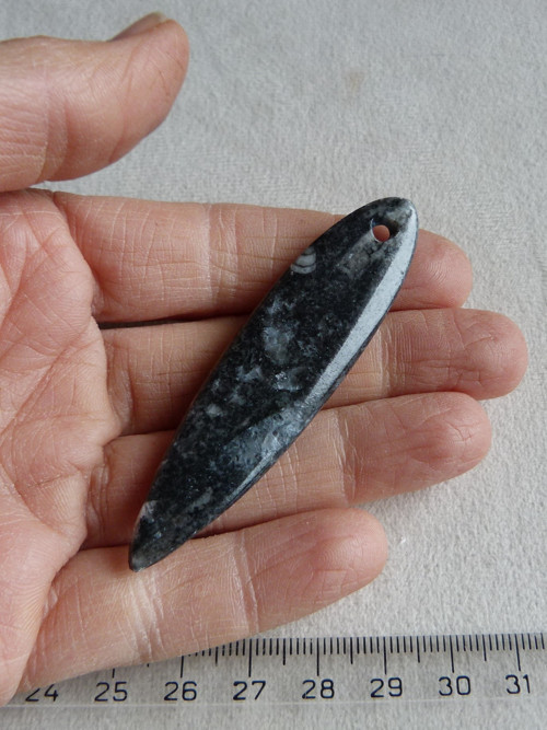 Orthoceras vrtaný - 7 cm — foto 6