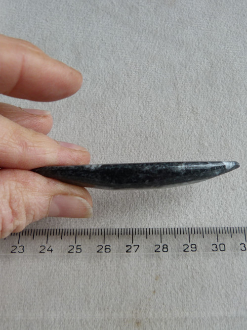 Orthoceras vrtaný - 7 cm — foto 5