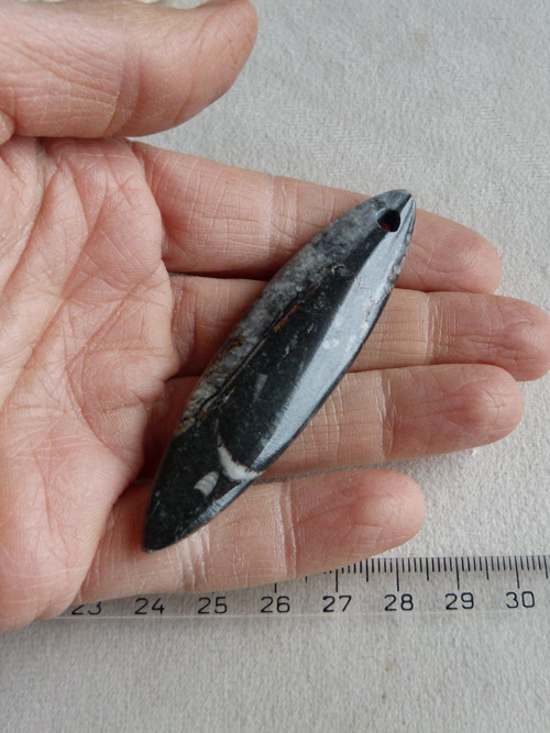 Orthoceras vrtaný - 7,4 cm — foto 6