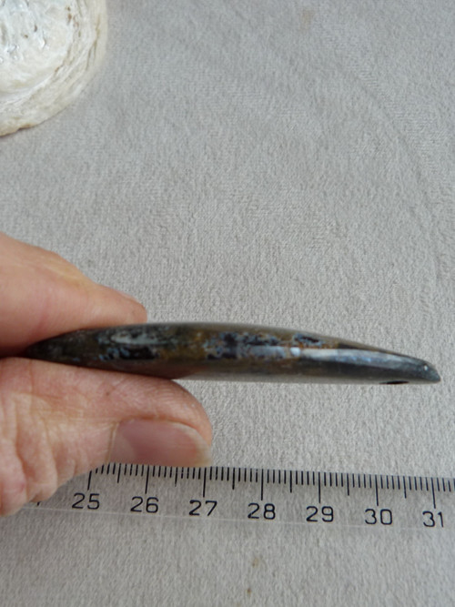 Orthoceras vrtaný - 6,1 cm — foto 5