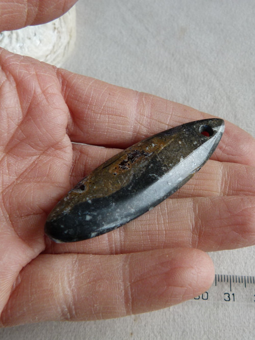 Orthoceras vrtaný - 6,1 cm — foto 6