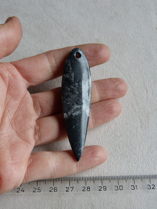 Orthoceras vrtaný - 7,4 cm — foto 6