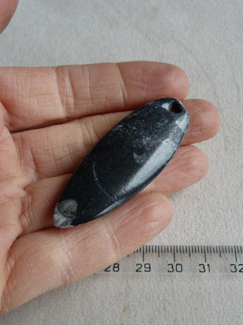 Orthoceras vrtaný - 5,6 cm — foto 6
