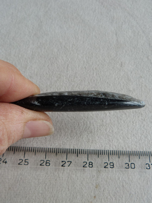 Orthoceras vrtaný - 6 cm — foto 5