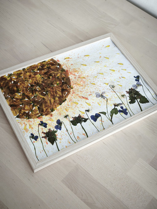 Jarní slunce — foto 3