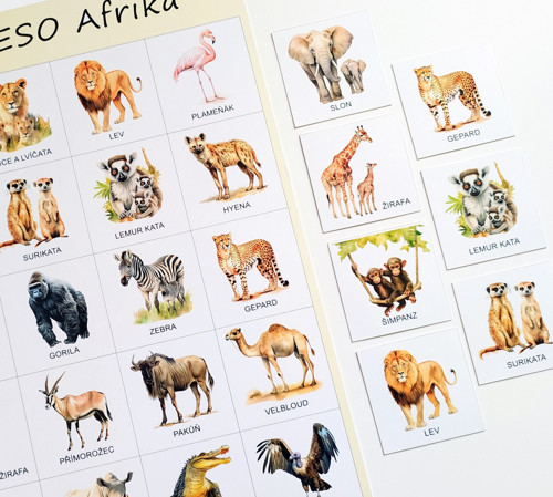 Pexeso AFRIKA — foto 3
