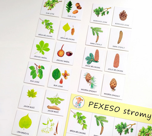 Pexeso STROMY — foto 5