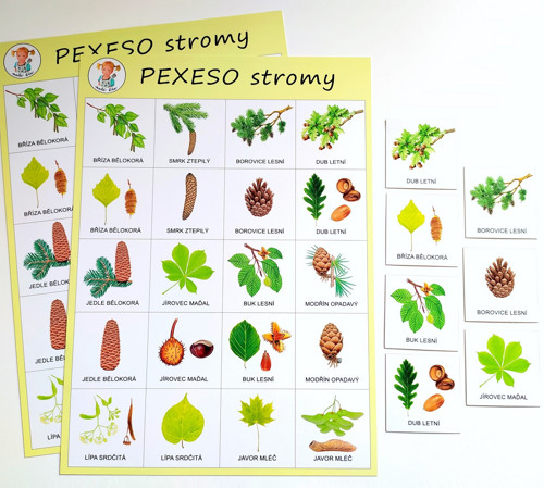 Pexeso STROMY — foto 2