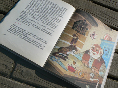 Pavouček Provazníček - Inka Ciprová — foto 3