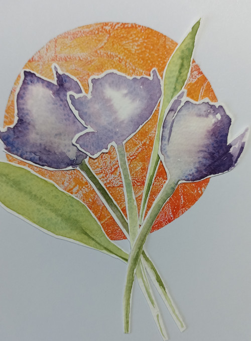 Fialové tulipány — foto 2