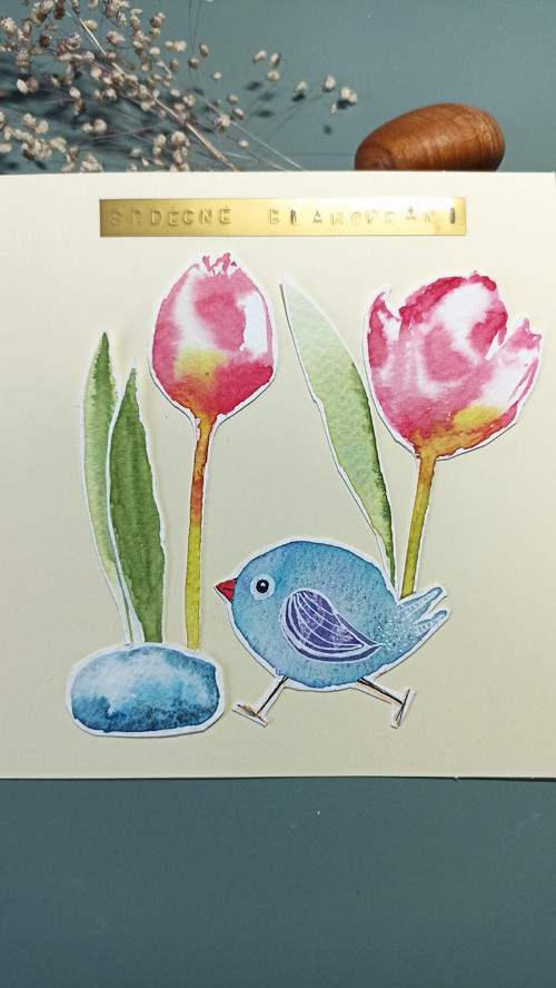 Ptáček mezi tulipány — foto 2