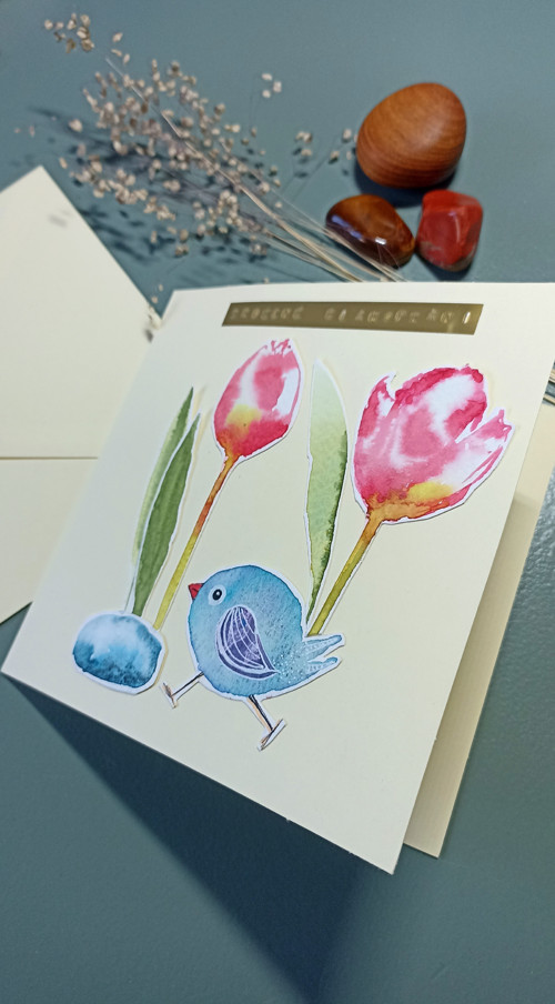 Ptáček mezi tulipány — foto 3