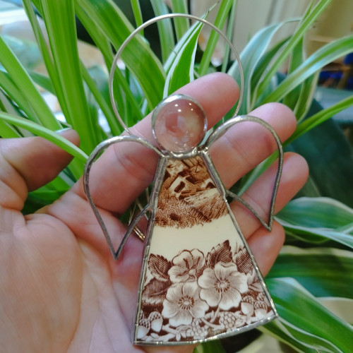 Anděl talířák hnědý — foto 2