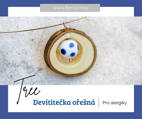 Devítitečka ořešná — foto 4