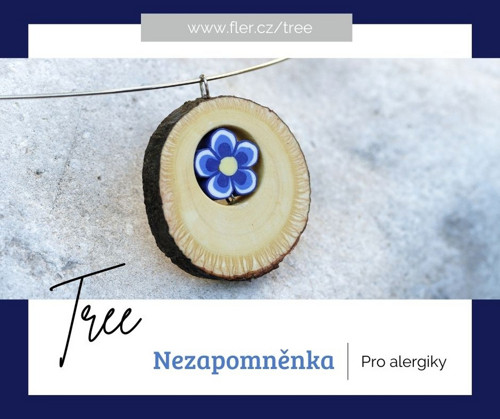 Nezapomněnka — foto 4