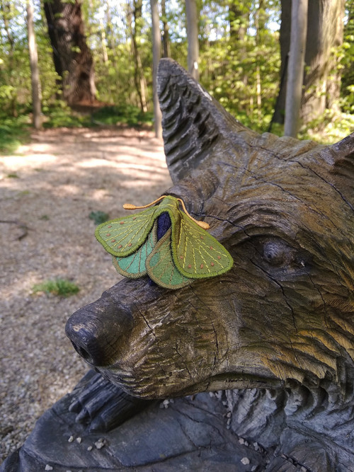 Motýl jarní - brož — foto 4