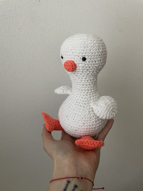 Háčkovaná Husa — foto 3