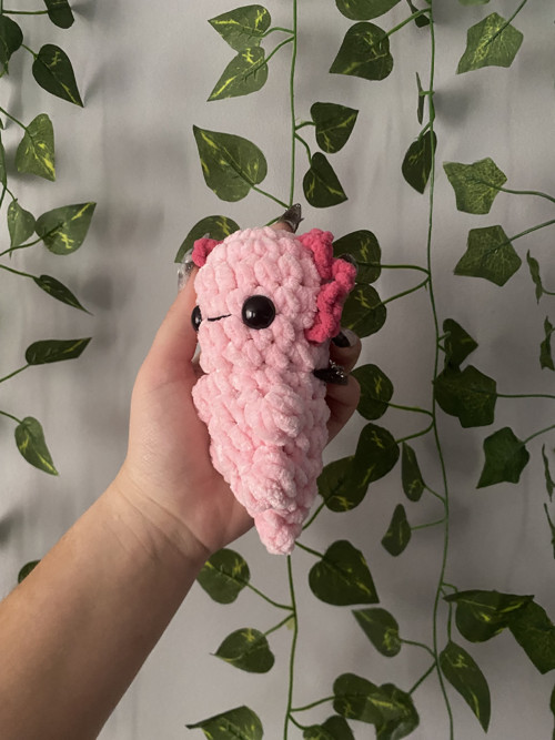 Háčkovaný axolotl — foto 3