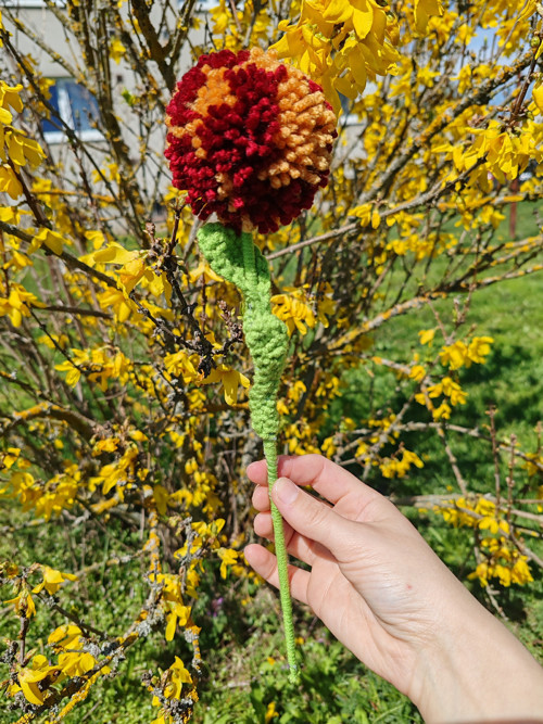 Pompom kytička — foto 2