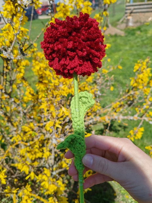 Pompom kytička červená — foto 2