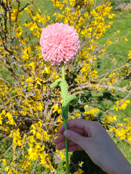 Pompom kytička růžová — foto 2
