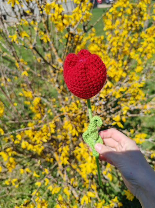 Háčkovaný tulipán červený — foto 2