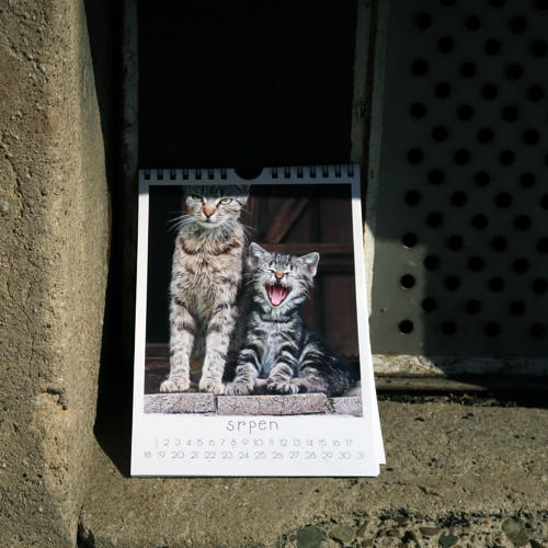 Fotokalendář 2027 — foto 6