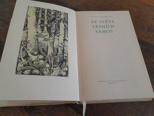 Ze světa lesních samot — foto 3