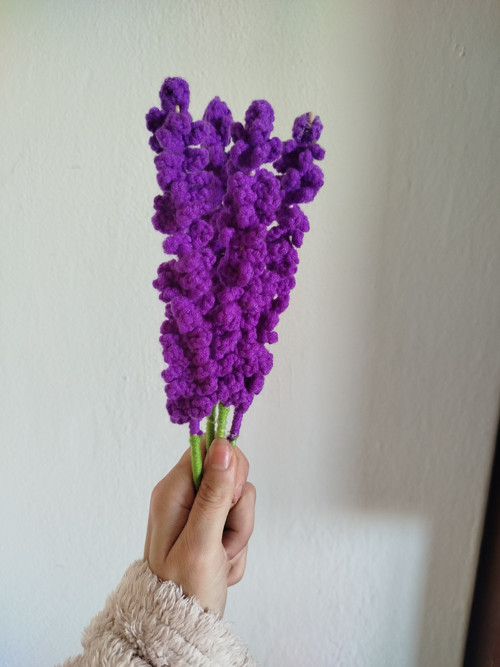 Levandule — foto 3