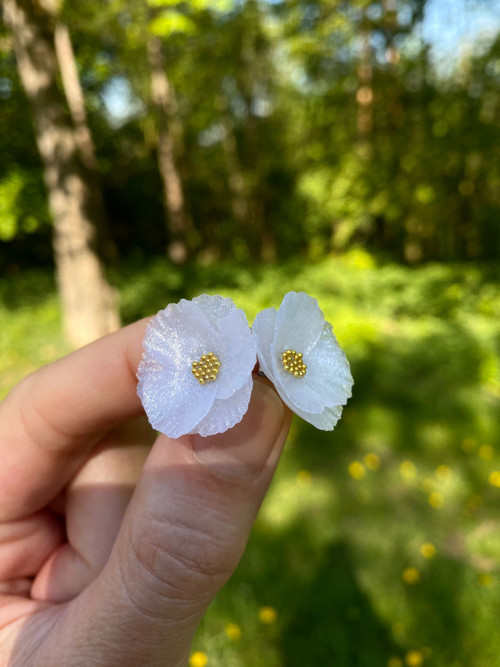 Flowers — foto 5