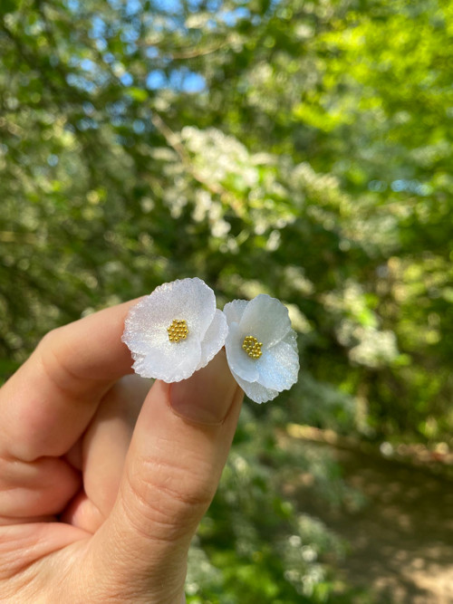 Flowers — foto 4