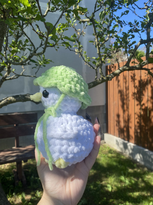 Háčkovaná kachnička — foto 4
