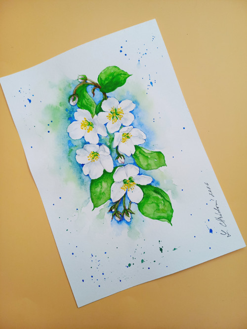 Obraz- Květy jabloní — foto 5