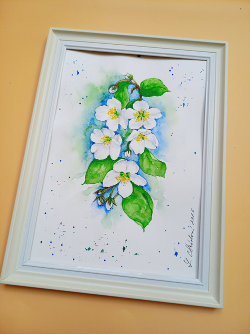 Obraz- Květy jabloní — foto 2