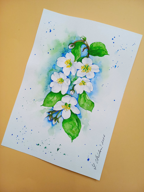 Obraz- Květy jabloní — foto 4