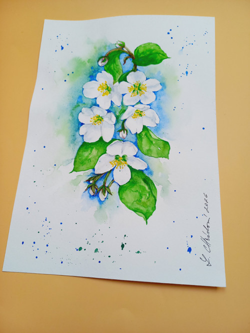 Obraz- Květy jabloní — foto 3