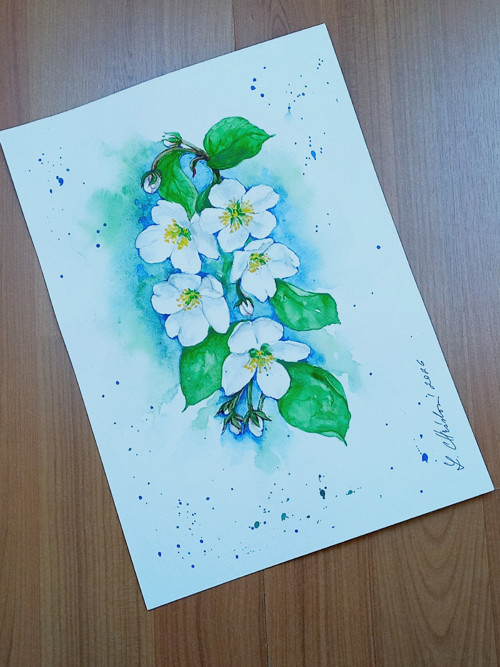 Obraz- Květy jabloní — foto 6