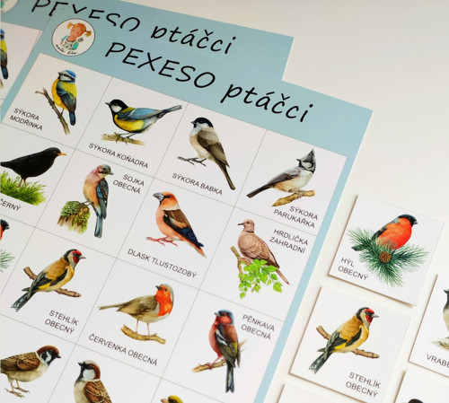 Pexeso PTÁČCI — foto 5